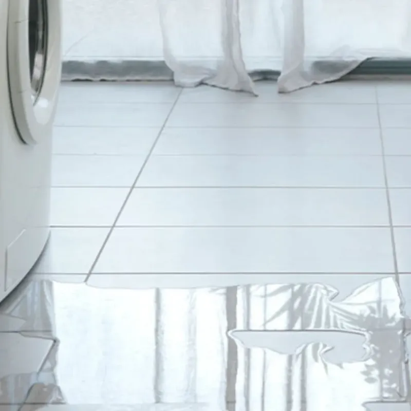 Appliance Leak Cleanup in Jackson County, MS