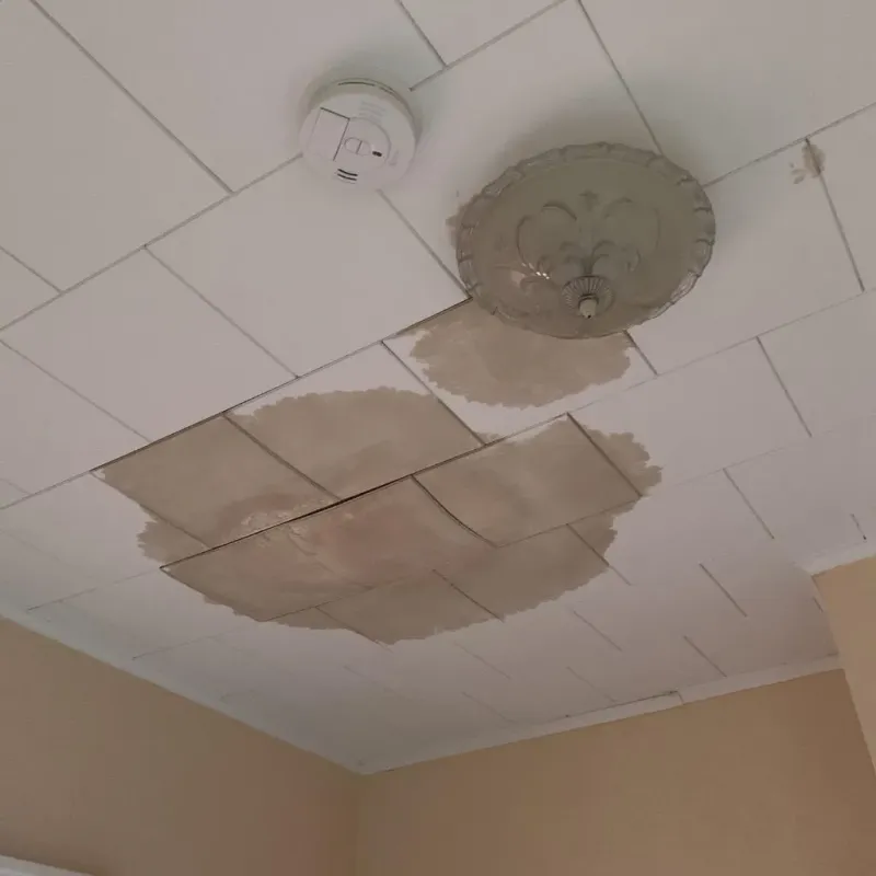 Ceiling Water Damage Repair in Jackson County, MS