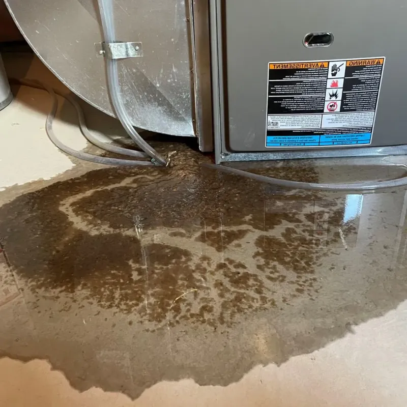 Pipe Burst and Leak Restoration in Jackson County, MS