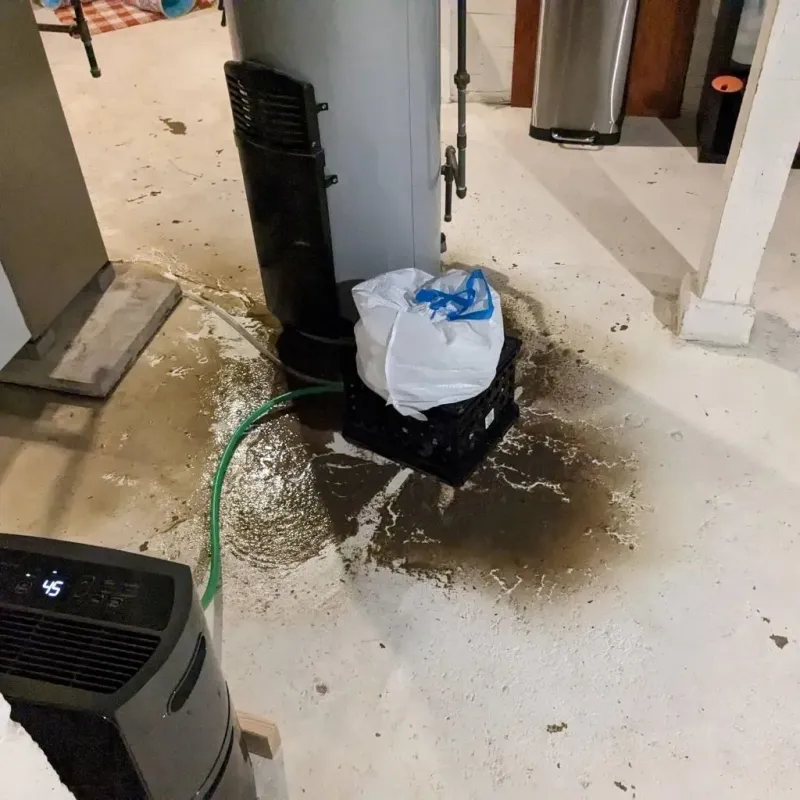 Sewage Backup Cleanup Service in Jackson County, MS